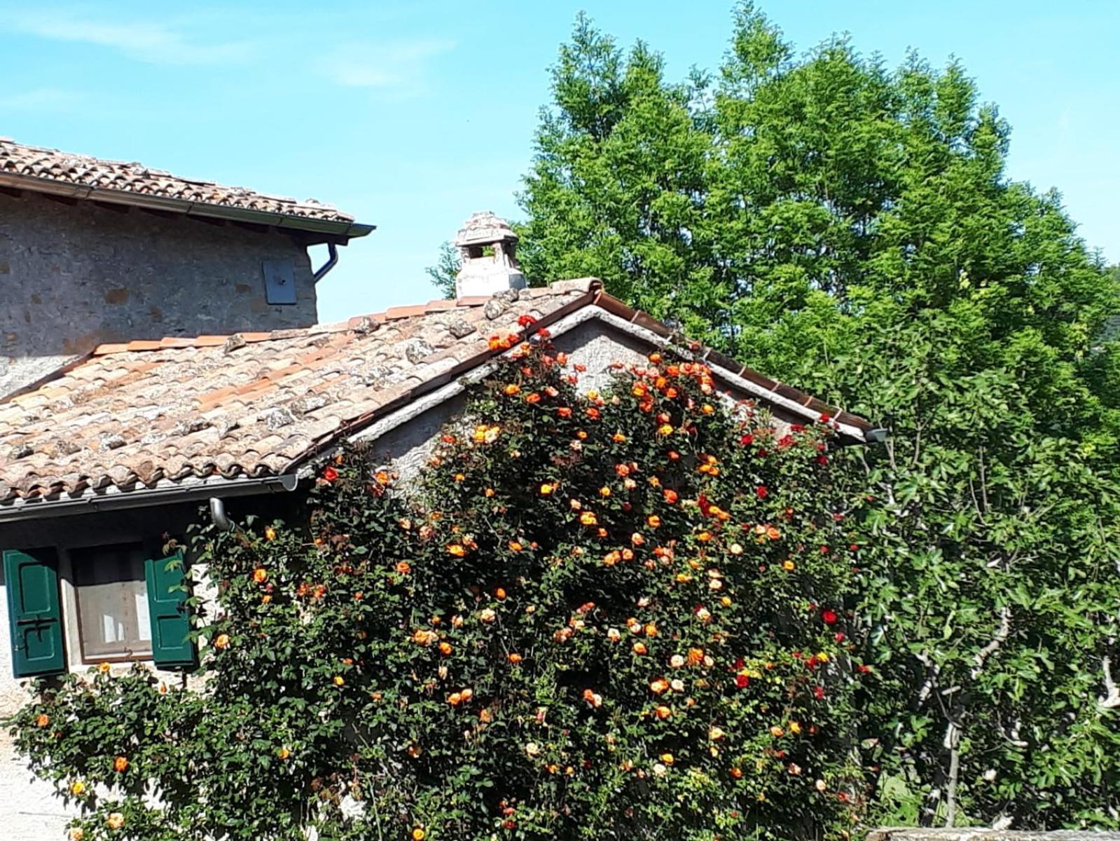 La Corte Bonomini Bed & Breakfast Neviano degli Arduini Eksteriør bilde