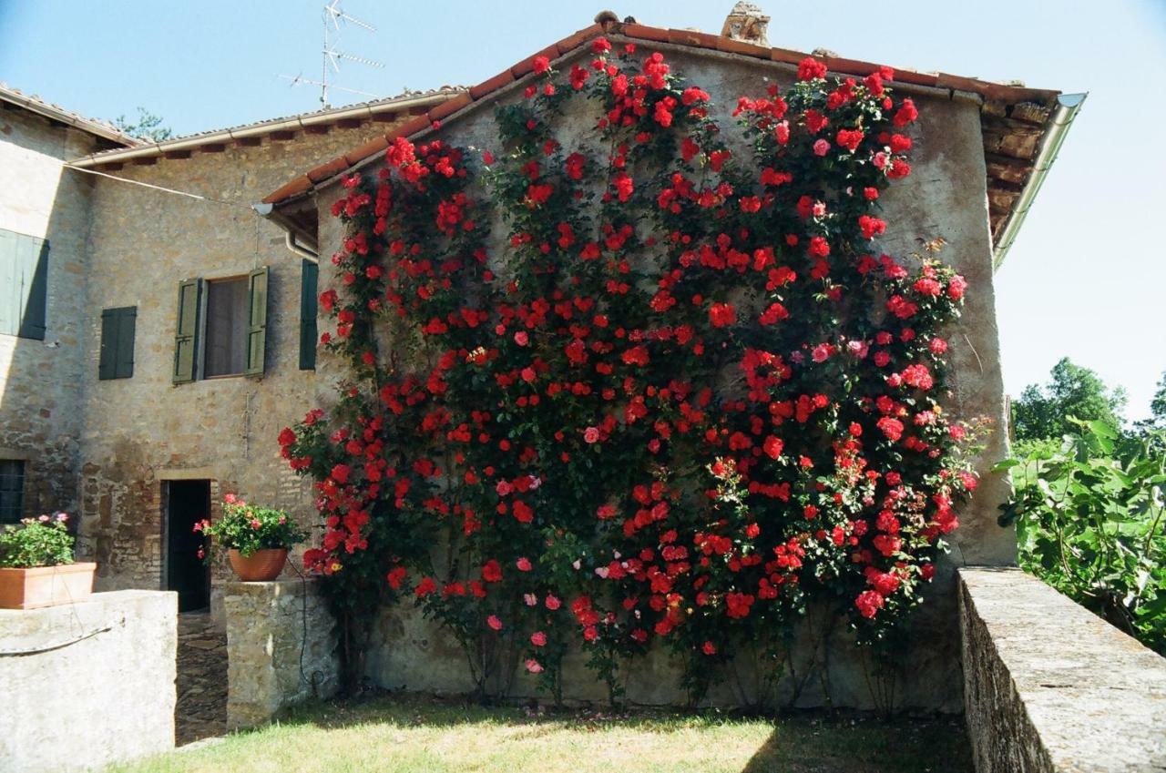 La Corte Bonomini Bed & Breakfast Neviano degli Arduini Eksteriør bilde