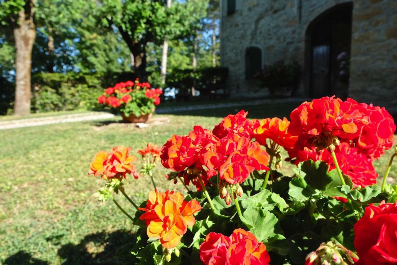 La Corte Bonomini Bed & Breakfast Neviano degli Arduini Eksteriør bilde